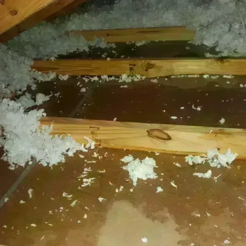 Attic Water Damage in Muscle Shoals, AL